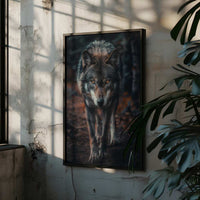 Wolf Walking Poster