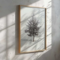 Winter Pine Tree Poster