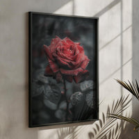 Red Rose Poster