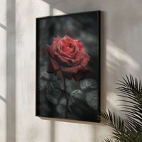 Red Rose Poster