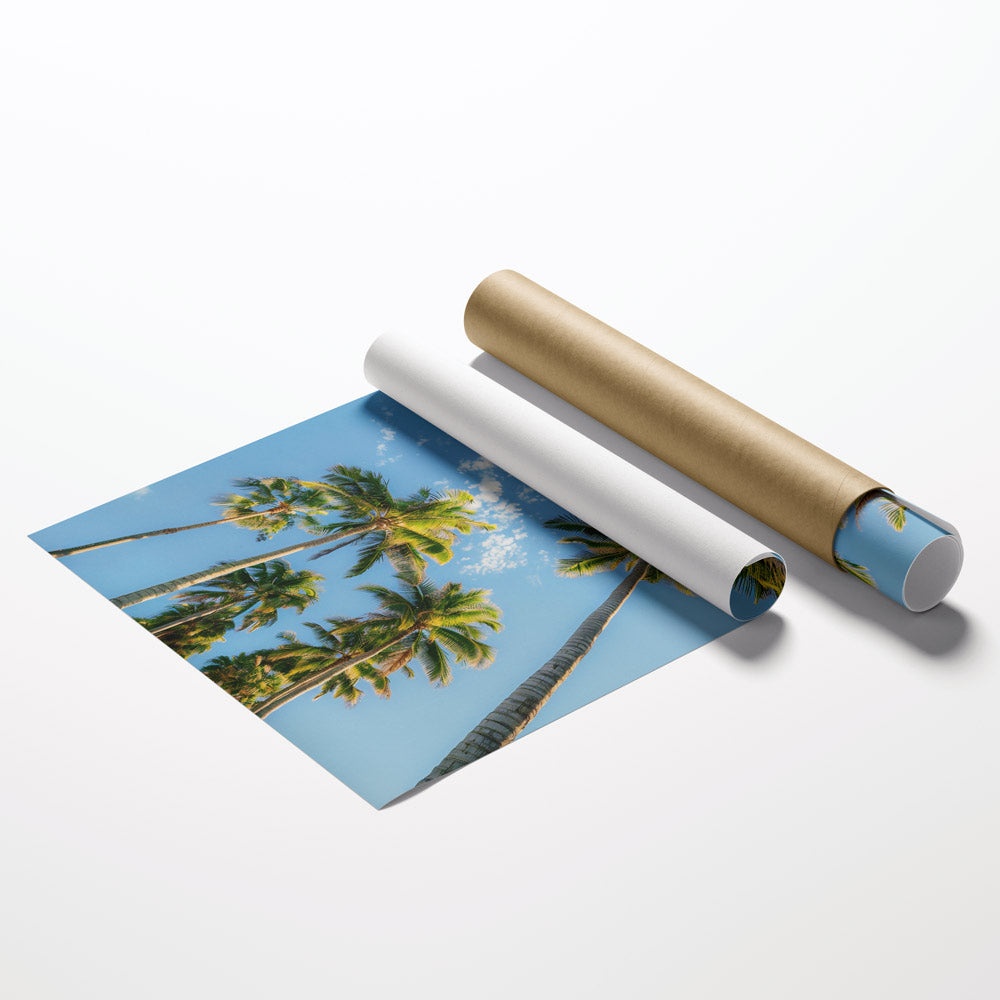 Tropical Palm Tree Poster